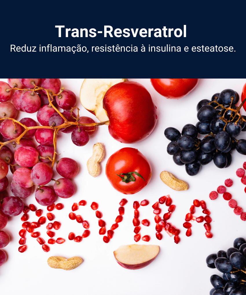FIGADO DEFENSE (35)
