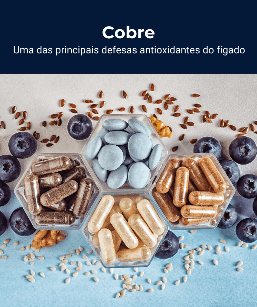 FIGADO DEFENSE (37)